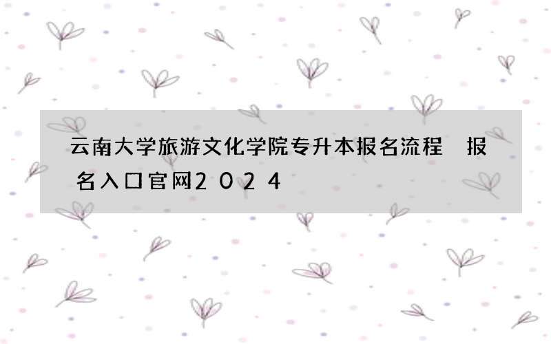 云南大学旅游文化学院专升本报名流程 报名入口官网2024